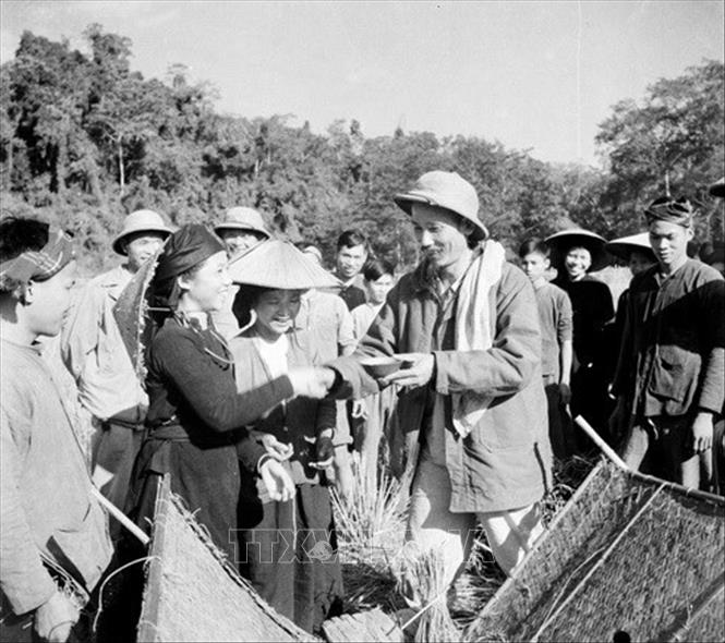 Trong ảnh: Chủ tịch Hồ Chí Minh đến thăm nông dân tỉnh Bắc Kạn đang thu hoạch lúa mùa năm 1950. Ảnh: Tư liệu TTXVN