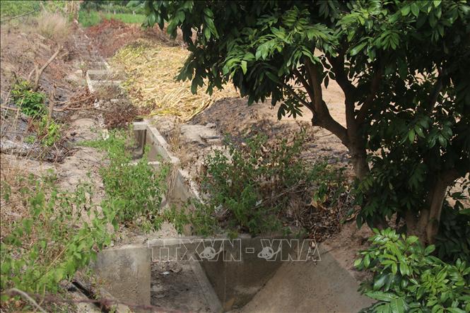Trong ảnh: Kênh nội đồng dẫn nước từ hồ Sông Hỏa chảy qua khu vực ấp Trang Hoàng, xã Bông Trang đã không còn nước, do nguồn nước chính là hồ Sông Hỏa cũng đang ở mực nước 