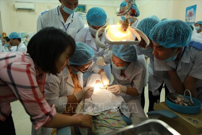 Trong ảnh: Sinh viên thực hành tại Bệnh viện của trường Đại học Y Dược Hải Phòng. Ảnh: Quý Trung - TTXVN
