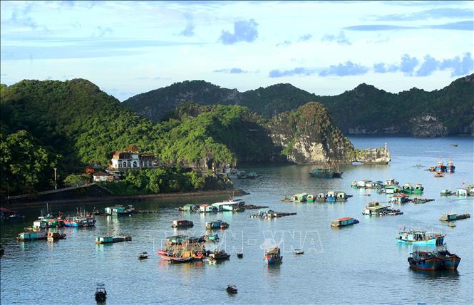Trong ảnh: Quần đảo Cát Bà thuộc huyện đảo Cát Hải, thành phố Hải Phòng đã được UNESCO công nhận là khu dự trữ sinh quyển thế giới, mỗi năm thu hút hàng triệu lượt khách trong nước và quốc tế thăm quan, nghỉ dưỡng. Ảnh: An Đăng – TTXVN