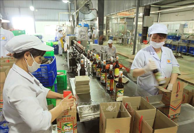 Trong ảnh: Nước mắm Cát Hải (Hải Phòng) là một trong những đặc sản ẩm thực của miền Bắc Việt Nam được người tiêu dùng trong và ngoài nước ưa chuộng. Ảnh: An Đăng - TTXVN