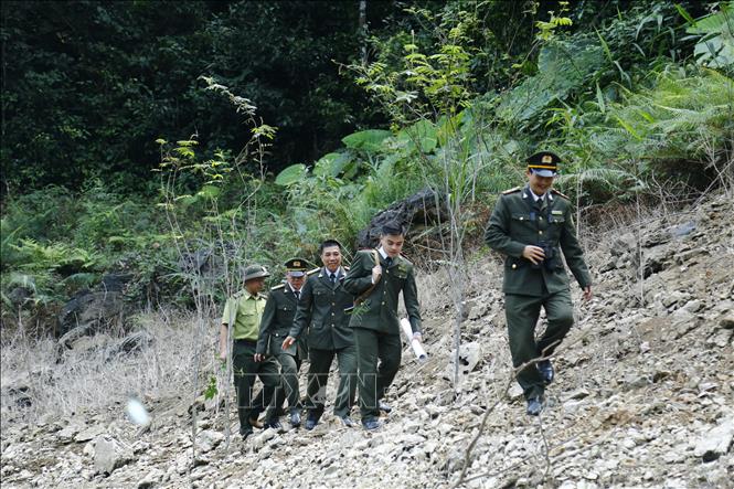 Trong ảnh: Hạt kiểm lâm Na Hang thường xuyên tổ chức tuần tra, kiểm soát và bảo vệ rừng. Ảnh: Nam Sương - TTXVN