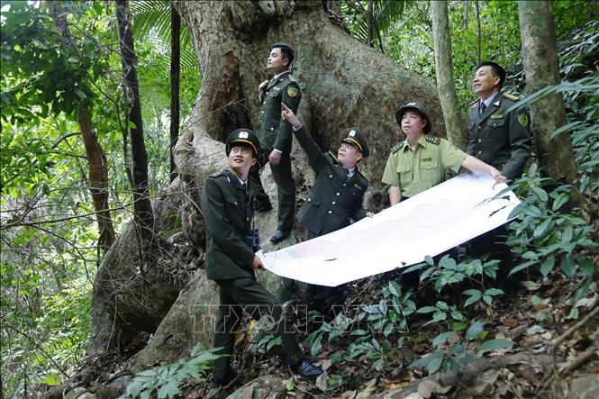 Trong ảnh: Hạt kiểm lâm Na Hang thường xuyên tổ chức tuần tra, kiểm soát và bảo vệ rừng. Ảnh: Nam Sương - TTXVN