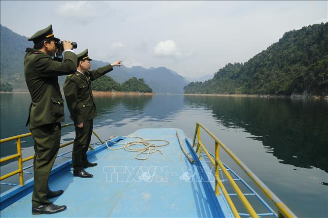 Trong ảnh: Kiểm lâm Na Hang luôn quán xuyến công tác gìn giữ và bảo vệ rừng. Ảnh: Nam Sương - TTXVN