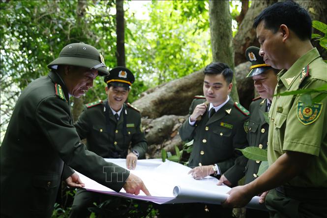 Trong ảnh: Kiểm tra, rà soát diện tích rừng đặc thù. Ảnh: Nam Sương - TTXVN