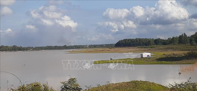 Trong ảnh: Hồ chứa nước Châu Pha, thị xã Phú Mỹ, rộng khoảng 250ha cũng đang rơi vào tình trạng khô cạn. Ảnh: Hoàng Nhị - TTXVN