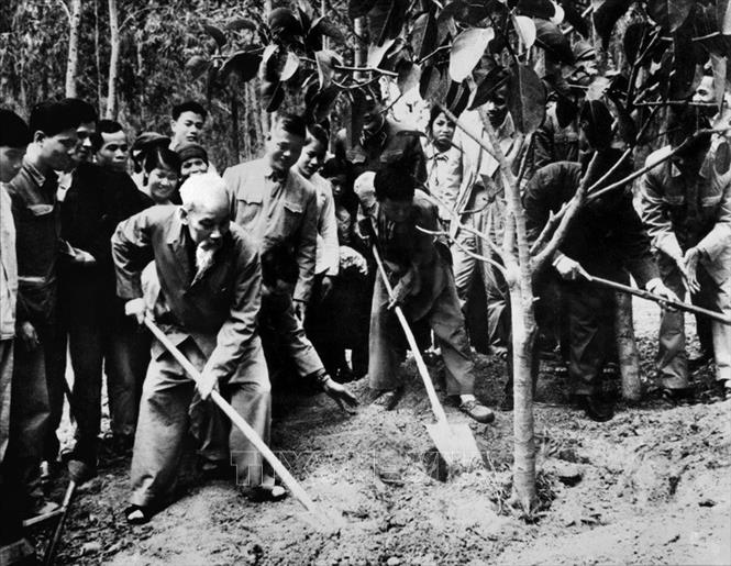 Trong ảnh: Bác Hồ trồng cây đa lưu niệm trên đồi cây của xã Vật Lại, huyện Ba Vì, tỉnh Hà Tây (nay là Hà Nội), ngày 16/2/1969. Người căn dặn phải bắt đầu từ việc chăm sóc cây mới trồng, từng con người mới lớn, nâng niu từng tấm gương người tốt, việc tốt xuất hiện ở trong cuộc sống hàng ngày của hàng triệu triệu quần chúng nhân dân lao động trong cả nước. Phải có nhiều cây mới thành rừng, phải có nhiều người tốt mới thành một xã hội tốt đẹp. Ảnh: TTXVN