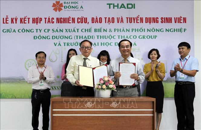 Trong ảnh: Đại diện THADI (bên trái) và Đại học Đông Á ký kết hợp tác nghiên cứu, đào tạo và tuyển dụng sinh viên. Ảnh: Trần Lê Lâm - TTXVN