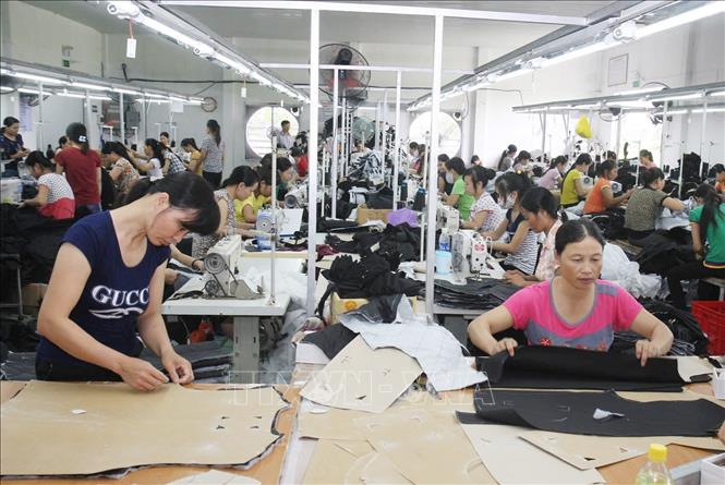 Trong ảnh: Công ty TNHH Dịch vụ Thương mại Minh Trang, huyện Yên Khánh (Ninh Bình) may áo rét các loại xuất khẩu sang nhiều thị trường, trong đó có Tây Ban Nha. Ảnh: Đình Huệ - TTXVN