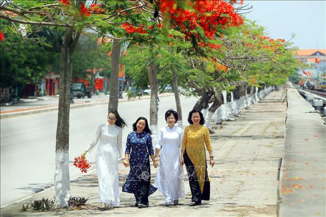 Trong ảnh: Vào dịp tháng 5 về, mọi ngả đường thành phố Hải Phòng lại rợp trời hoa phượng nở. Ảnh: An Đăng - TTXVN