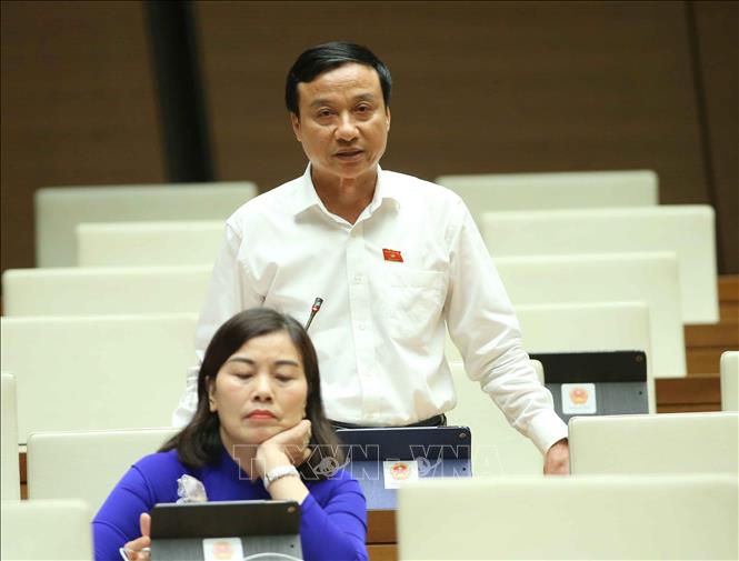 Trong ảnh: Đại biểu Quốc hội tỉnh Thái Bình Bùi Văn Xuyền phát biểu ý kiến. Ảnh: Doãn Tấn - TTXVN