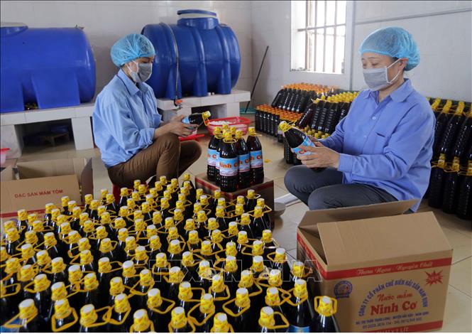 Trong ảnh: Dán mác sản phẩm nước mắm Ninh Cơ tại Công ty. Ảnh: Trần Việt - TTXVN