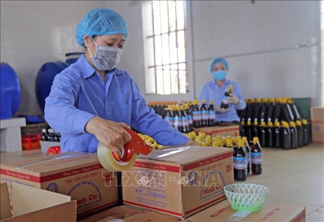 Trong ảnh: Đóng gói sản phẩm nước mắm Ninh Cơ tại Công ty. Ảnh: Trần Việt - TTXVN
