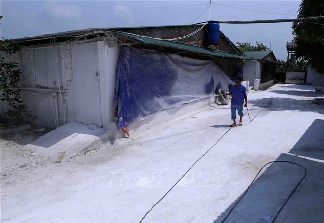 Trong ảnh: Trang trại thực hiện phun hóa chất tiêu độc, khử trùng theo khuyến cáo của ngành Thú y. Ảnh: Vũ Sinh - TTXVN