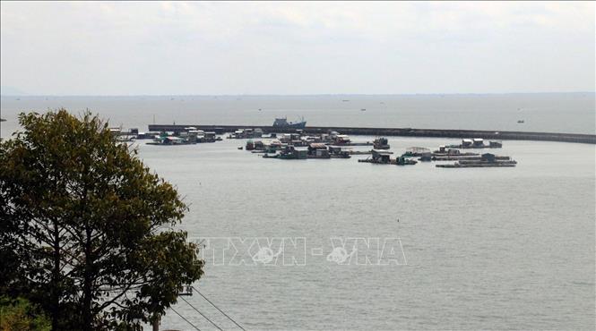 Trong ảnh: Nuôi cá lồng bè trên biển ở đảo Hòn Tre, huyện Kiên Hải (Kiên Giang). Ảnh: Lê Huy Hải - TTXVN