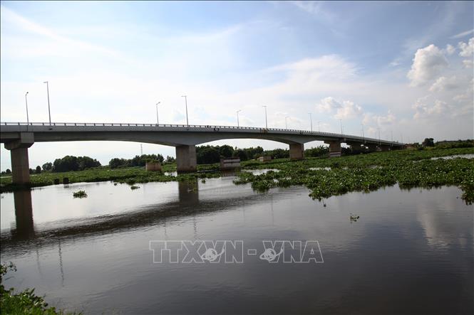 Trong ảnh: Nguồn nước sông Vàm Cỏ Đông, đoạn cầu Bến Đình (xã Cẩm Giang, huyện Gò Dầu, tỉnh Tây Ninh) đen xẩm, bốc mùi hôi thối. Ảnh: Lê Đức Hoảnh - TTXVN