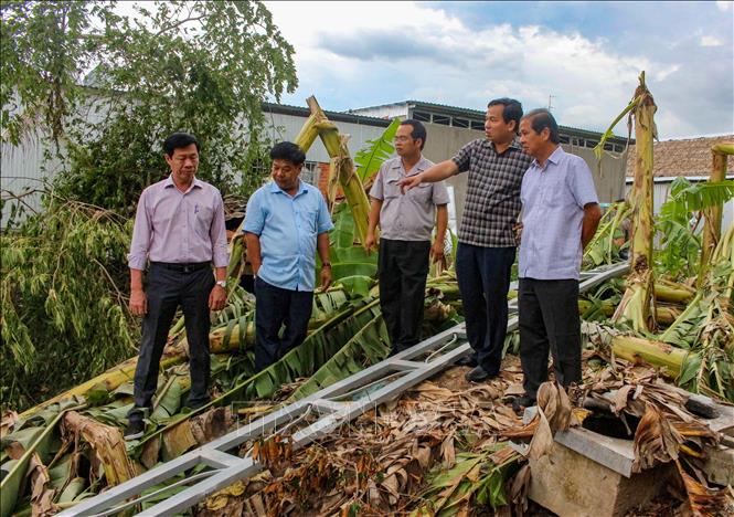 Trong ảnh: Chủ tịch UBND thành phố Cần Thơ Lê Quang Mạnh (áo ca rô) kiểm tra, chỉ đạo khắc phục hậu quả do dông lốc gây ra ở huyện Thới Lai. Ảnh: TTXVN phát