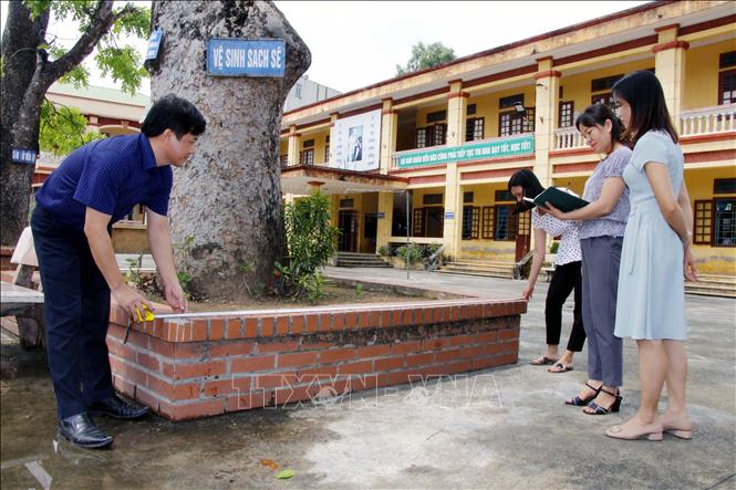 Trong ảnh: Ban giám hiệu Trường THCS Liêm Chính (thành phố Phủ Lý) tiến hành khảo sát, đo hiện trạng cây cổ thụ của trường để báo cáo cho ngành quản lý và chơ quan chức năng. Ảnh: Đại Nghĩa - TTXVN