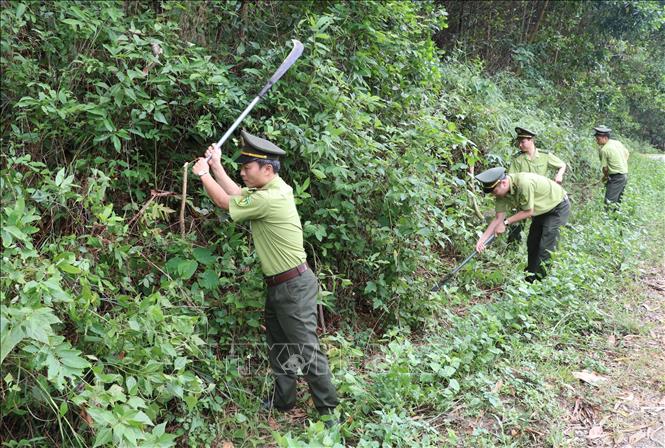 Trong ảnh: Kiểm lâm tỉnh Ninh Bình phối hợp với lực lượng tại chỗ tăng cường tuần tra, kiểm soát rừng tại xã Xích Thổ, huyện Nho Quan. Ảnh: Đức Phương - TTXVN