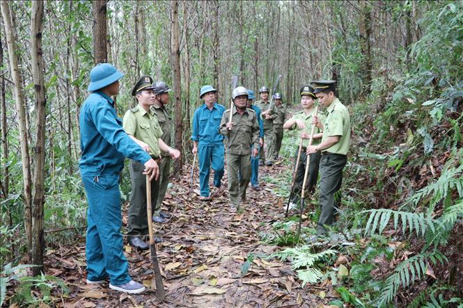 Trong ảnh: Kiểm lâm tỉnh Ninh Bình phối hợp với lực lượng tại chỗ tăng cường tuần tra, kiểm soát rừng tại xã Xích Thổ, huyện Nho Quan. Ảnh: Đức Phương - TTXVN