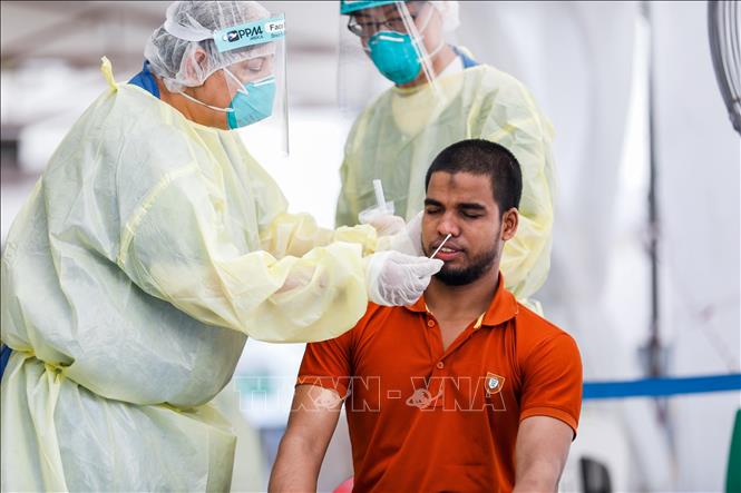 Trong ảnh: Nhân viên y tế lấy mẫu xét nghiệm COVID-19 cho một lao động nhập cư tại Singapore, ngày 15/5/2020. Ảnh: AFP/TTXVN