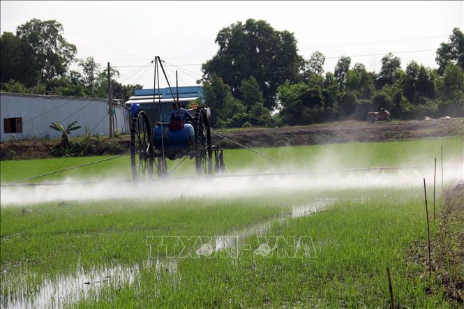 Thuốc bảo vệ thực vật có tác dụng tích cực bảo vệ mùa màng, tăng hiệu quả sản xuất. Tuy nhiên, chúng là nguyên nhân gây nên nhiều hậu quả nghiêm trọng tới môi trường (ô nhiễm đất, nguồn nước), đồng thời ảnh hưởng đến cả hệ sinh thái và sức khỏe con người. Trong ảnh: Người dân xã Kiên Bình, huyện Kiên Lương (Kiên Giang) sử dụng máy phun xịt thuốc trong sản xuất. Ảnh: Lê Sen - TTXVN