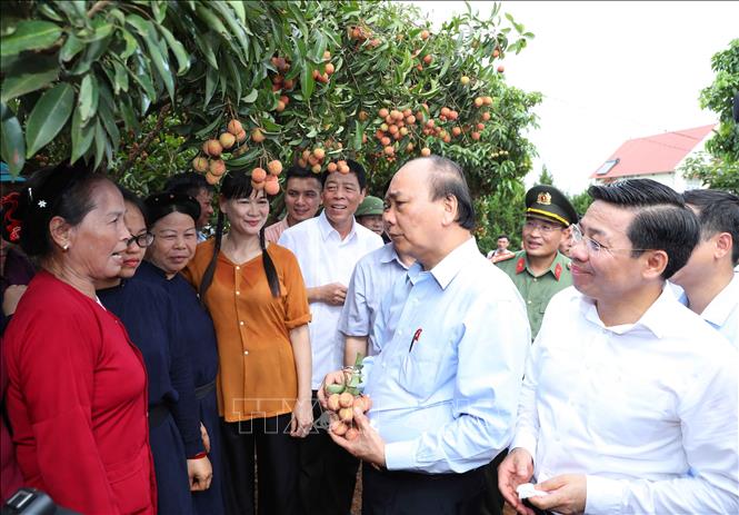 Trong ảnh: Thủ tướng Nguyễn Xuân Phúc nói chuyện thân mật với nhân dân địa phương khi đến thăm Vườn quả Bác Hồ. Ảnh: Thống Nhất - TTXVN 
