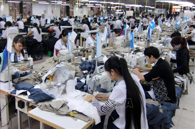 Trong ảnh: Công ty Cổ phần May xuất khẩu Ninh Bình (Ninh Bình) sản xuất, xuất khẩu sản phẩm áo jacket sang nhiều thị trường, trong đó có Thổ Nhĩ Kỳ. Ảnh: Vũ Sinh - TTXVN