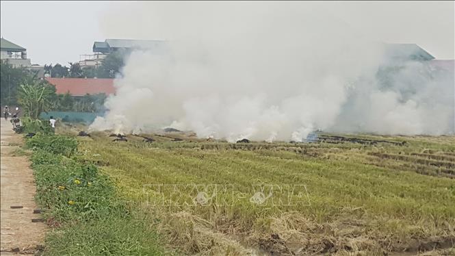 Người dân đốt rơm rạ sau khi thu hoạch gây khói bụi ở huyện Vĩnh Tường, tỉnh Vĩnh Phúc. Ảnh: Nguyễn Trọng Lịch- TTXVN