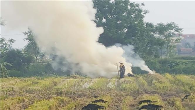 Người dân đốt rơm rạ sau khi thu hoạch gây khói bụi ở huyện Vĩnh Tường, tỉnh Vĩnh Phúc   Ảnh: Nguyễn Trọng Lịch- TTXVN