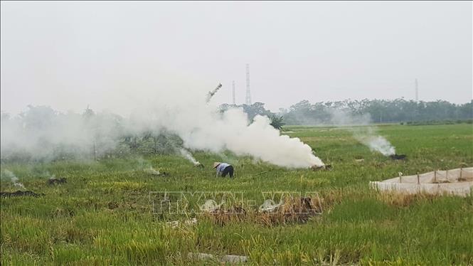 Người dân đốt rơm rạ sau khi thu hoạch gây khói bụi ở huyện Vĩnh Tường, tỉnh Vĩnh Phúc   Ảnh: Nguyễn Trọng Lịch- TTXVN