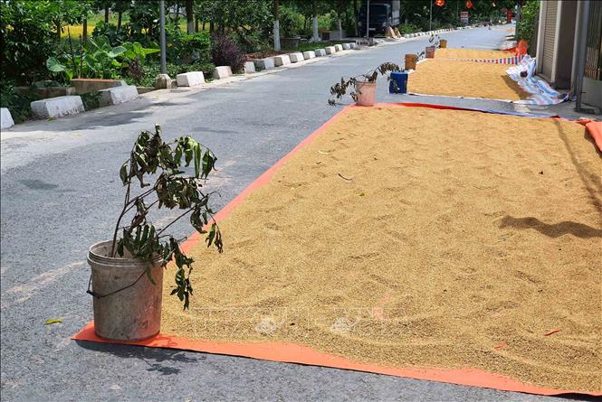 Trong ảnh: Những viên gạch, đá, cành cây được người dân dùng để chèn bạt, tiềm ẩn tai nạn khó lường. Ảnh: Công Luật - TTXVN
