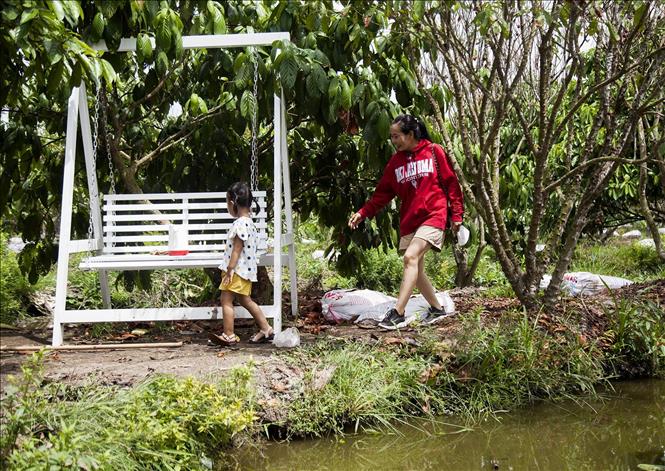 Trong ảnh: Du khách trải nghiệm không gian sinh thái trong vườn dâu. Ảnh: Hồng Đạt - TTXVN
