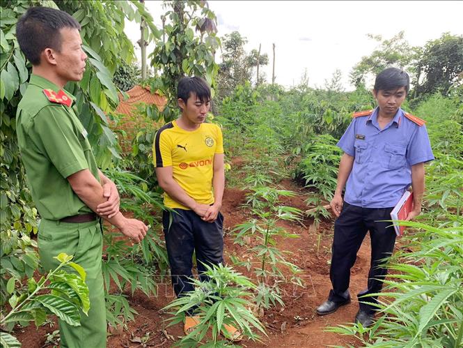 Trong ảnh: Đối tượng Nguyễn Văn Minh (áo vàng) làm việc với lực lượng công an. Ảnh: TTXVN phát.