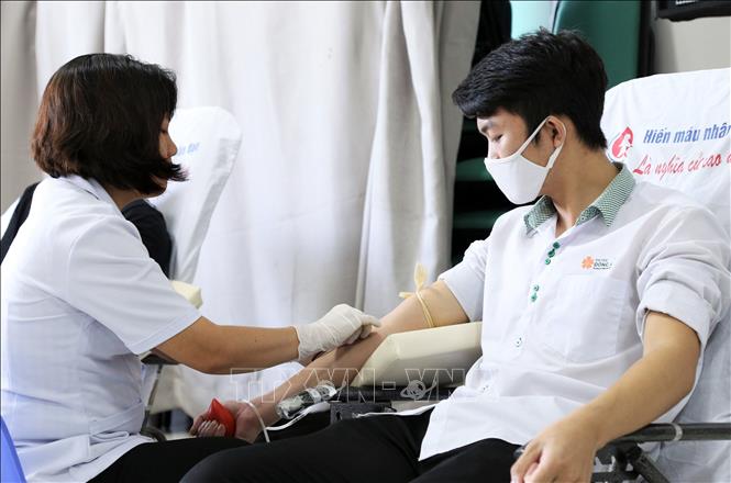 Trong ảnh: Sinh viên trường Đại học Đông Á hiến máu tình nguyện tại chương trình. Ảnh: Trần Lê Lâm - TTXVN