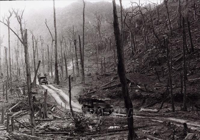 Tác giả Văn Sắc được nhận Giải thưởng Nhà nước đợt 3 - năm 2006 với tác phẩm 