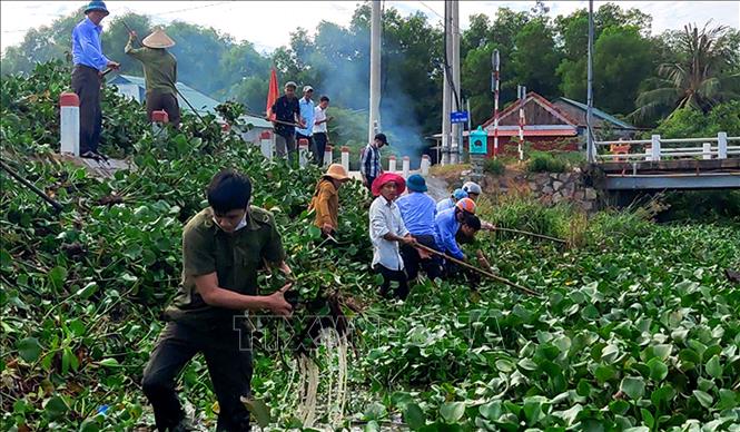 Trong ảnh: Các lực lượng ra quân vớt bèo trên sông Đại Giang, huyện Phú Vang. Ảnh: Tường Vi - TTXVN.
