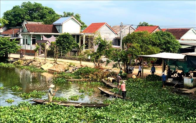 Trong ảnh: Vớt bèo lục bình trên sông Lợi Nông, thị xã Hương Thủy. Ảnh: Tường Vi - TTXVN.