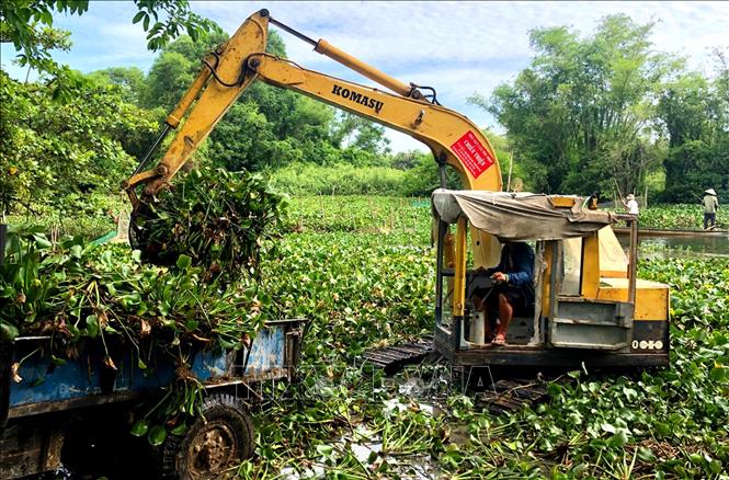 Trong ảnh: Vớt bèo lục bình trên sông Lợi Nông, thị xã Hương Thủy nhân Tháng hành động vì môi trường. Ảnh: Tường Vi - TTXVN.