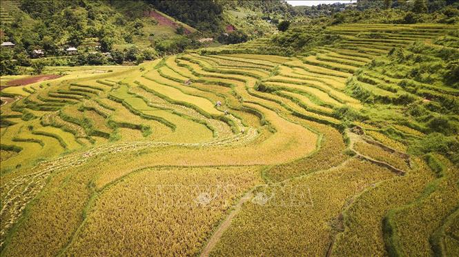 Trong ảnh: Vẻ đẹp của ruộng bậc thang tại xã Thạch Yên, huyện Cao Phong hứa hẹn sẽ là một tiềm lực lớn để cho xã Yên Thượng đặt mục tiêu thúc đẩy phát triển du lịch tại địa phương mạnh mẽ. Ảnh: Trọng Đạt - TTXVN