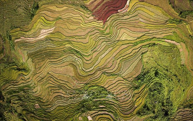 Trong ảnh: Vẻ đẹp của ruộng bậc thang xã Thạch Yên, Cao Phong nhìn từ trên cao như một bức tranh chạm khảm trên đất. Ảnh: Trọng Đạt - TTXVN