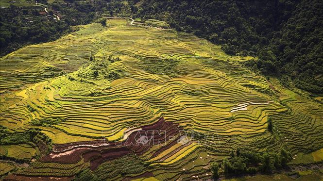 Trong ảnh: Vẻ đẹp của ruộng bậc thang tại xã Thạch Yên, huyện Cao Phong. Ảnh: Trọng Đạt - TTXVN