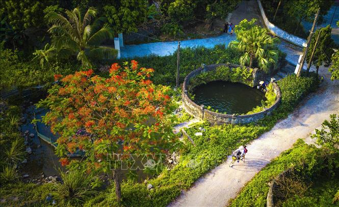 Trong ảnh: Giếng làng cổ tại huyện Hoa Lư. Ảnh: Minh Đức - TTXVN
