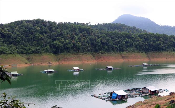 Trong ảnh: Người dân mưu sinh bằng nghề nuôi cá lồng bè trên lòng hồ thủy điện Bình Điền. Ảnh: Đỗ Trưởng-TTXVN