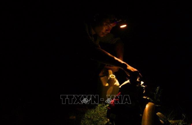 Trong ảnh: Nông dân xã Hàm Ninh, huyện Quảng Ninh (Quảng Bình) chuyển thời gian sản xuất vào ban đêm để tránh nắng nóng. Ảnh: Văn Tý-TTXVN