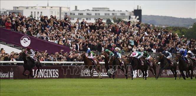 Trong ảnh: (tư liệu) Khán giả theo dõi giải đua ngựa  tại Paris, Pháp, ngày 5/10/2014. Ảnh: AFP/TTXVN