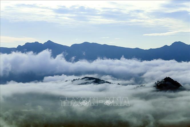 Trong ảnh: 