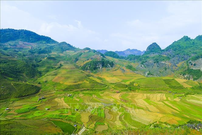 Trong ảnh: Những thửa ruộng bậc thang níu chân du khách. Ảnh: Phan Tuấn Anh - TTXVN