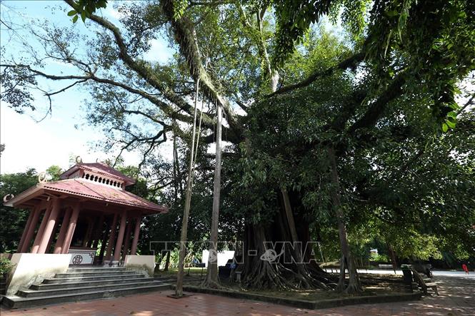 Trong ảnh: Điện thờ vị thủ lĩnh Hoàng Công Chất dưới gốc cây đa (ảnh tư liệu). Ảnh: Phan Tuấn Anh - TTXVN