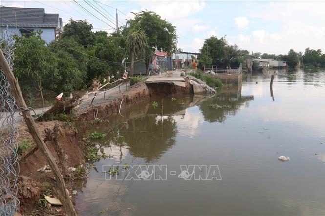 Trong ảnh: Hàng trăm mét đường bê tông tại xã Phú An, huyện Cai Lậy bị nhấn chìm xuống dòng sông. Ảnh: Minh Trí-TTXVN

